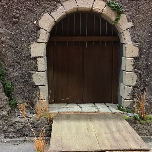 IMG1370