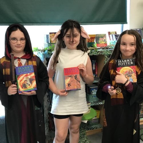 WBD1