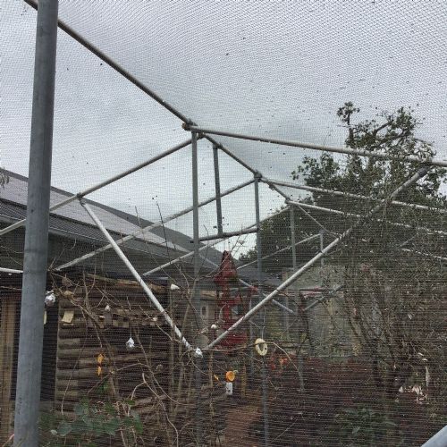 IMG1790