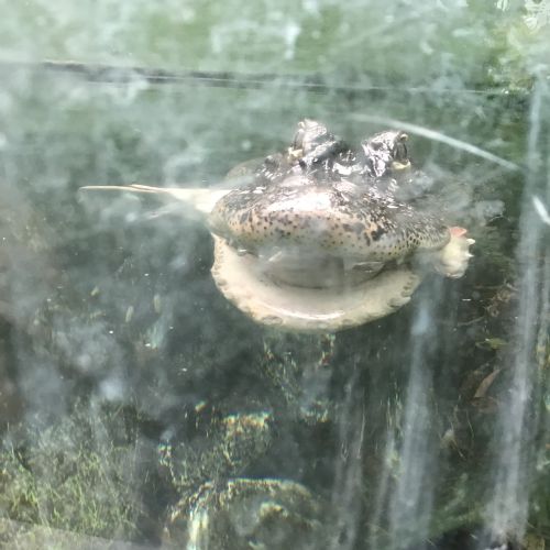 IMG1830