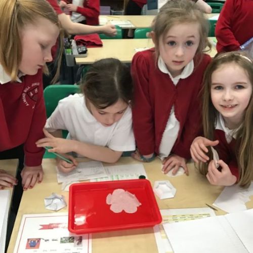 Science Week