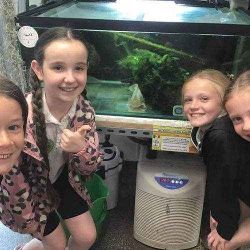 Year 4 Trip to Shuttleworth