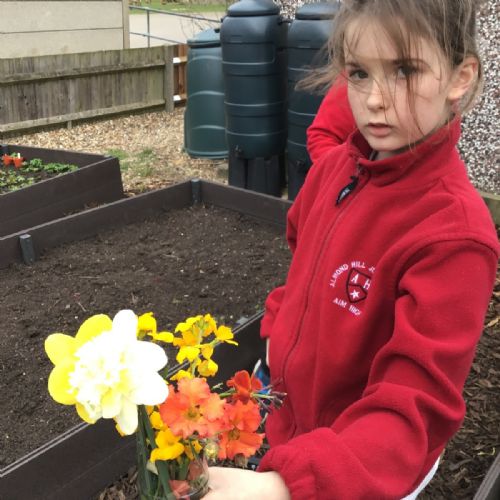 Wild Green Paws Update - Bouquet Day