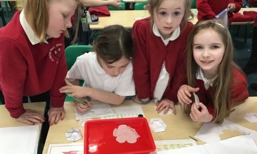 Children participating in their science work