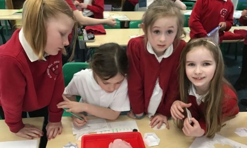 Science Week