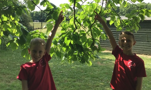 ECO Club Update