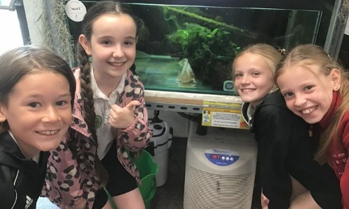 Year 4 Trip to Shuttleworth