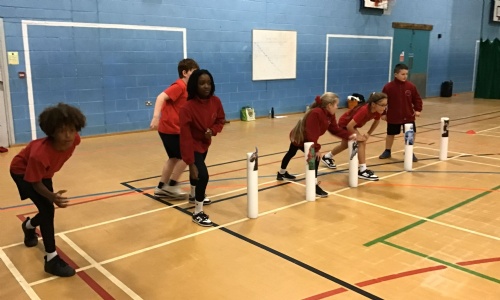 ⭐ Dodgeball Festival ⭐