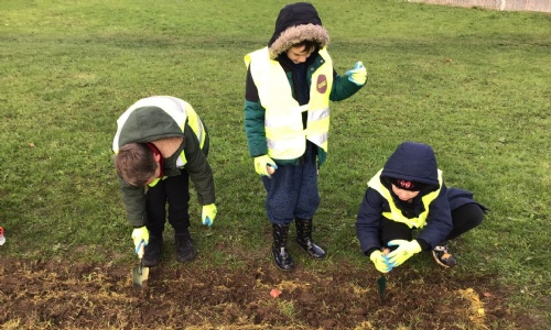 The ECO Committee - Bulb Planting in the Community