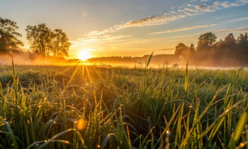 Photography Competition