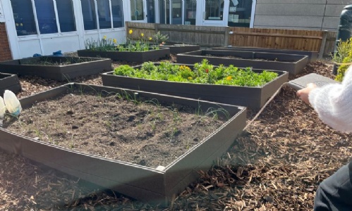 Celebrating Our Gardening Achievements